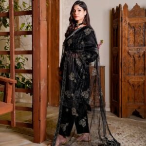 Benuka luxury ethnic wear